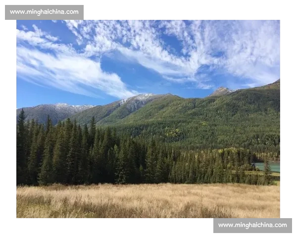 背起百岁奶奶看球赛：116 岁库尔班罕的足球圆梦之旅